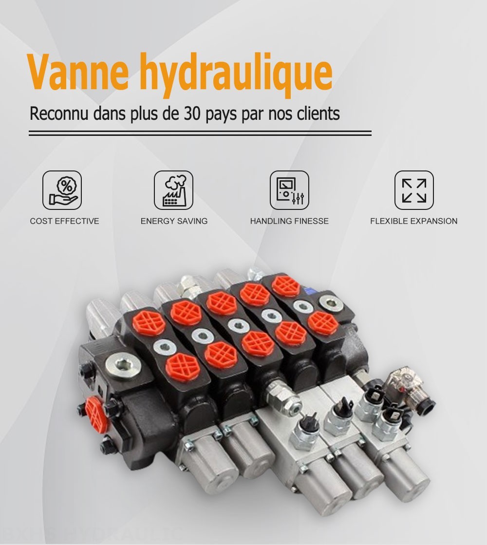 SD8 Manuel 5 distributeurs Distributeur directionnel sectionnel